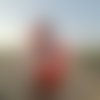See more