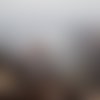 See more
